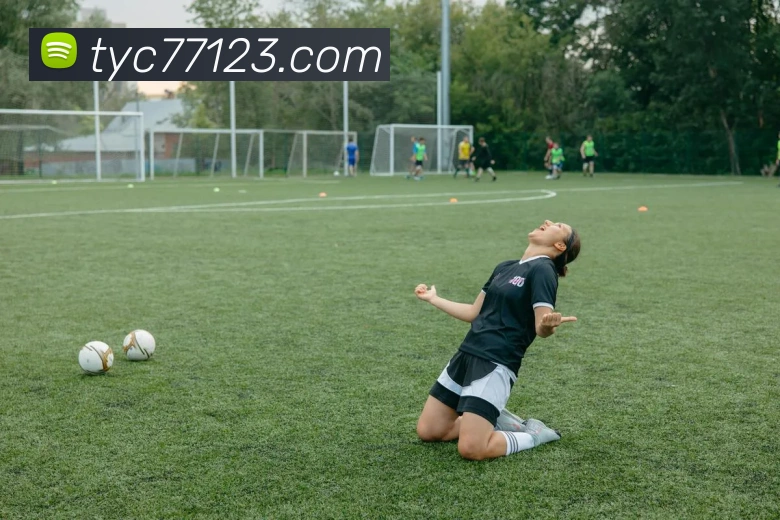 太阳城娱乐服务体系